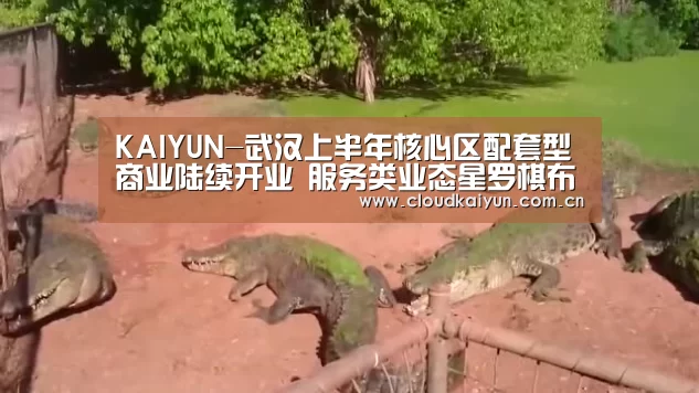 KAIYUN-武汉上半年核心区配套型商业陆续开业 服务类业态星罗棋布(图3) KAIYUN-武汉上半年核心区配套型商业陆续开业 服务类业态星罗棋布(图3)