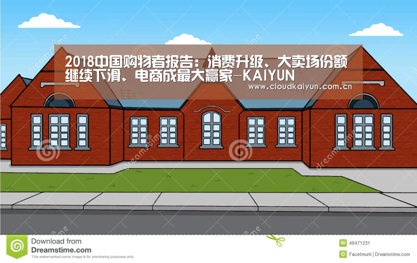 2018中国购物者报告：消费升级、大卖场份额继续下滑、电商成最大赢家-KAIYUN(图2)