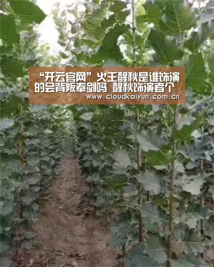 开云官网