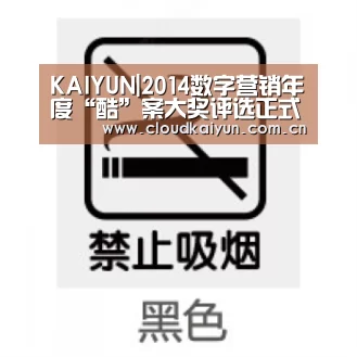 KAIYUN|2014数字营销年度“酷”案大奖评选正式启动！(图1)