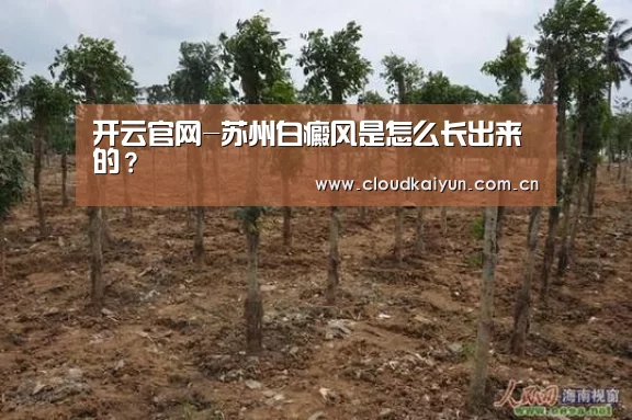 开云官网-苏州白癜风是怎么长出来的?(图1) 开云官网