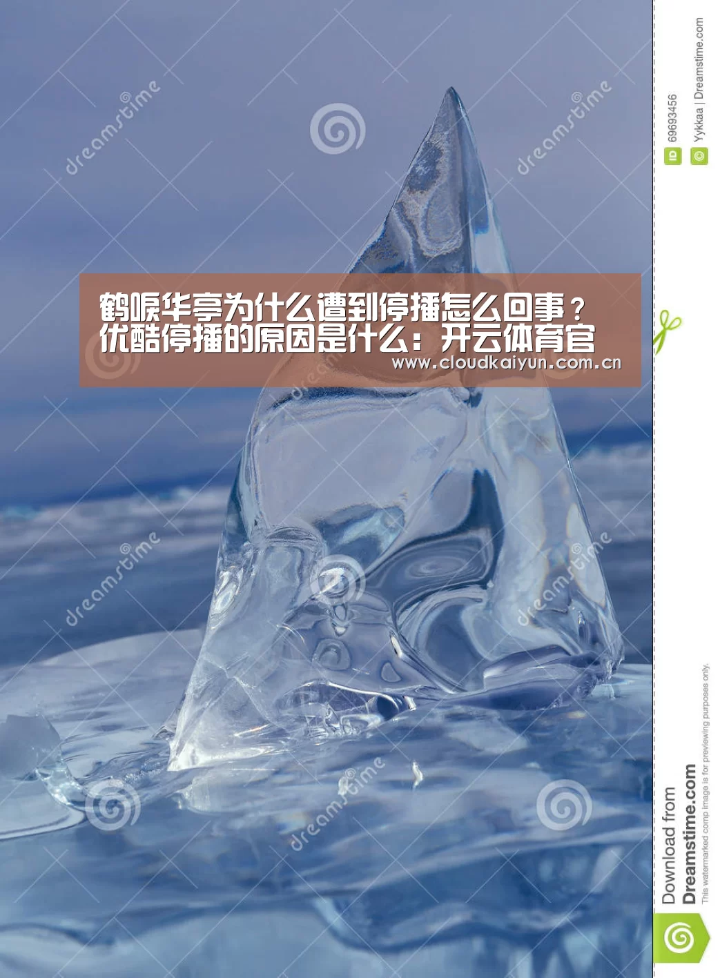 开云体育官网